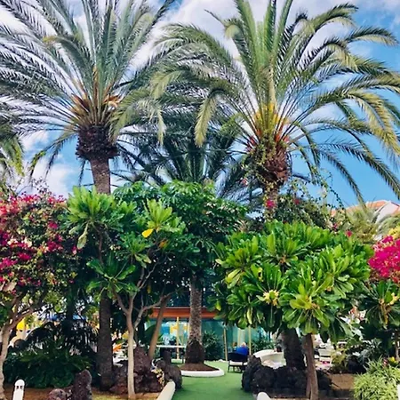 شقة Ferienwohnung Fur 4 Personen Ca 60 Qm In Playa De Americas, Teneriffa Playa De Americas Und Cristianos